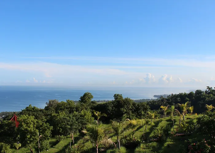 The Hamsa Bali