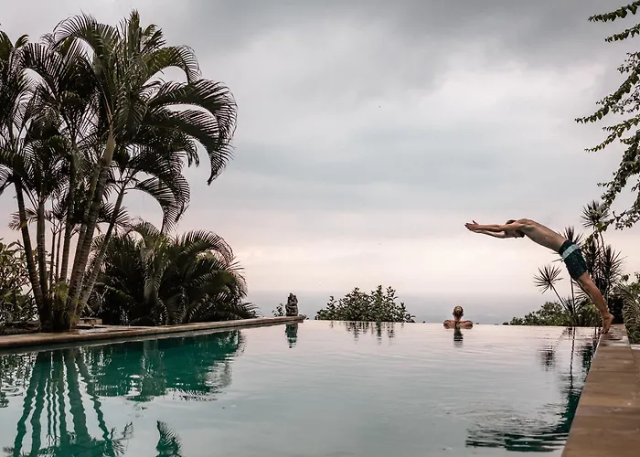 The Hamsa Bali