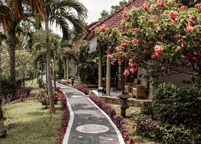 The Hamsa Bali 4* ロヴィーナ